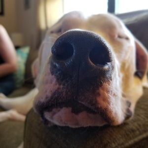 Meet your Posher, Richard